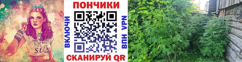 Бошки марихуана White Widow  купить   Бабушкин 